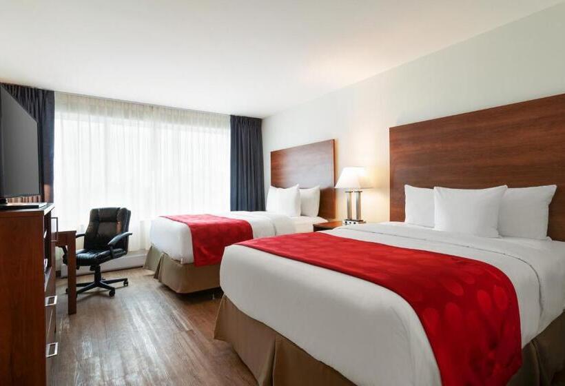 スタンダードルーム, Ramada Plaza By Wyndham Montreal