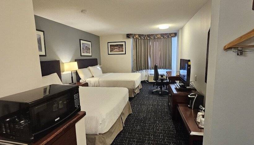 Номер Superior, Divya Sutra Plaza And Conference Centre Calgary Airport