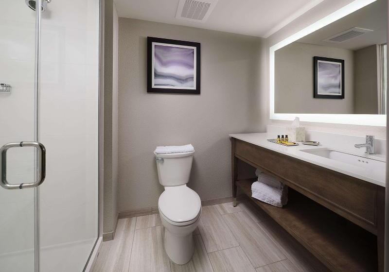 스탠다드 룸, Best Western Plus Desoto