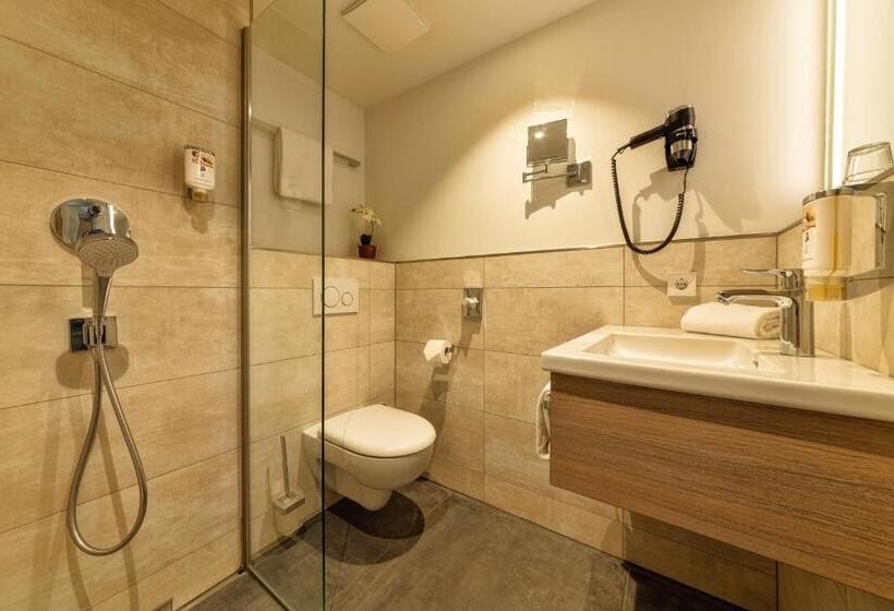 舒适型单人间, Cityclass Hotel Am Heumarkt