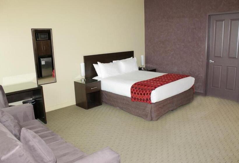 스위트, Comfort Inn & Suites City Views