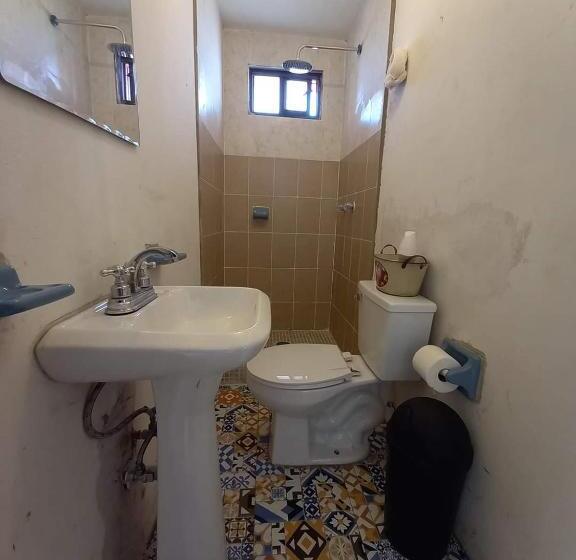バスルーム共有のトリプルスタンダード, Hostal Pata De Perro