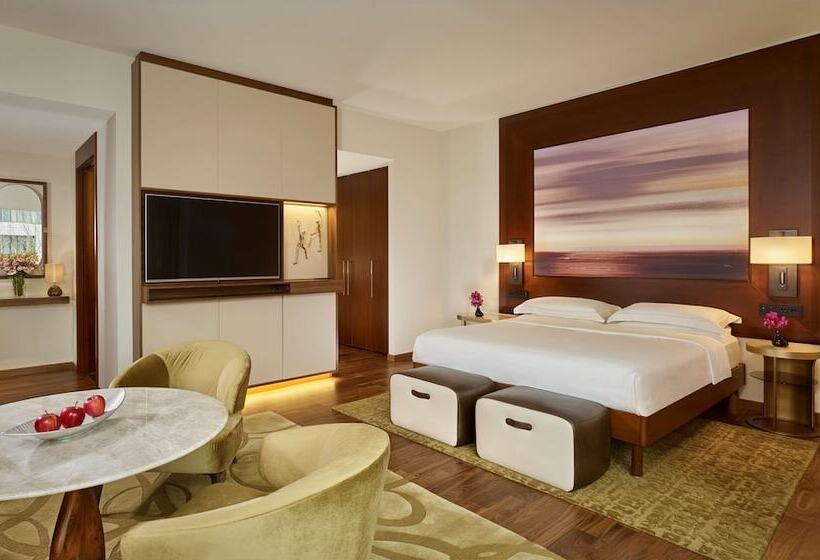 سوییت جونیور, Park Hyatt Zurich – City Center Luxury