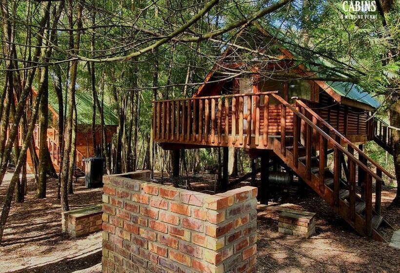 一居室别墅, Plett Forest Cabins