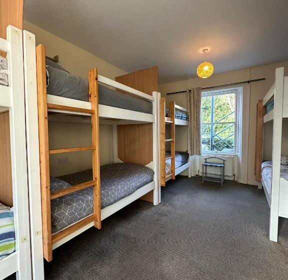 מיטה בחדר משותף, The Grapevine Hostel