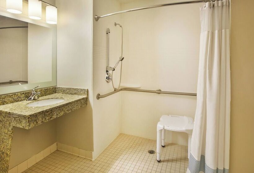 Люкс 2 Спальни, Towneplace Suites By Marriott Detroit Livonia