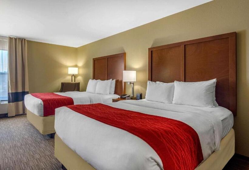 Номер Стандарт, Comfort Inn & Suites