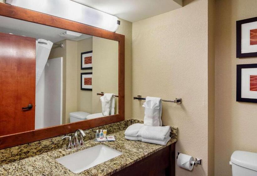 Люкс Кровать Кинг, Comfort Inn & Suites