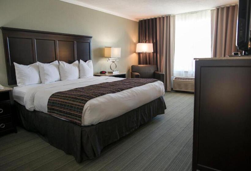 带大床的标准间, Country Inn & Suites By Radisson, Effingham, Il