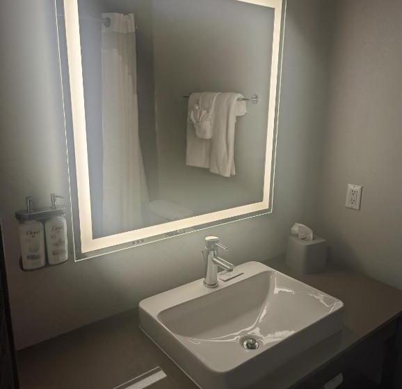 Люкс, Holiday Inn Express & Suites Salt Lake City N  Bountiful