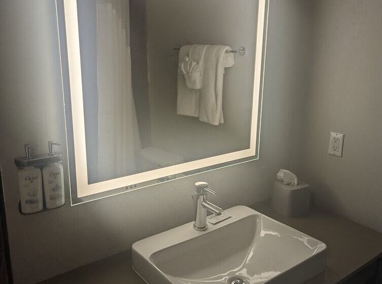 Номер Стандарт, Holiday Inn Express & Suites Salt Lake City N  Bountiful