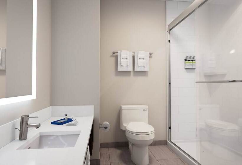 Номер Премиум, Holiday Inn Express & Suites Salt Lake City N  Bountiful