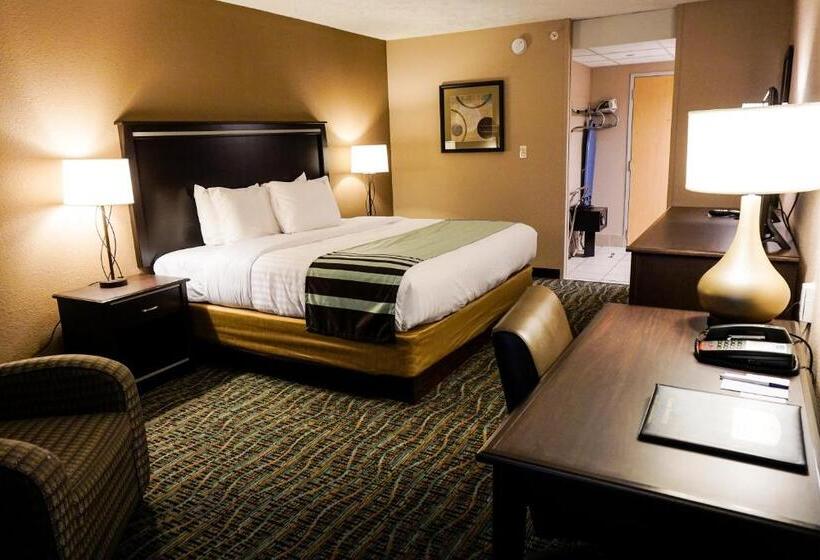 스탠다드 룸 킹사이즈 침대, Boarders Inn & Suites By Cobblestone Hotels   Grand Island