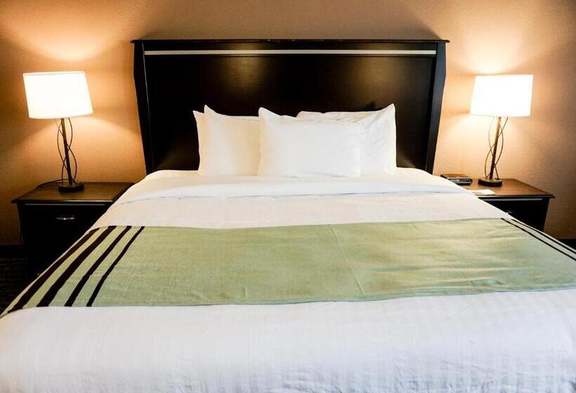 이그제큐티브 룸 킹사이즈 침대, Boarders Inn & Suites By Cobblestone Hotels   Grand Island