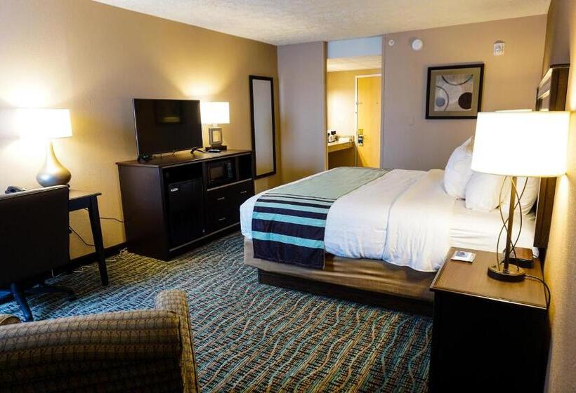 장애인을 위한 킹사이즈 침대 스탠다드 룸, Boarders Inn & Suites By Cobblestone Hotels   Grand Island
