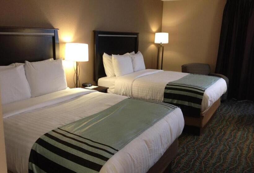 장애인을 위한 스탠다드 룸, Boarders Inn & Suites By Cobblestone Hotels   Grand Island