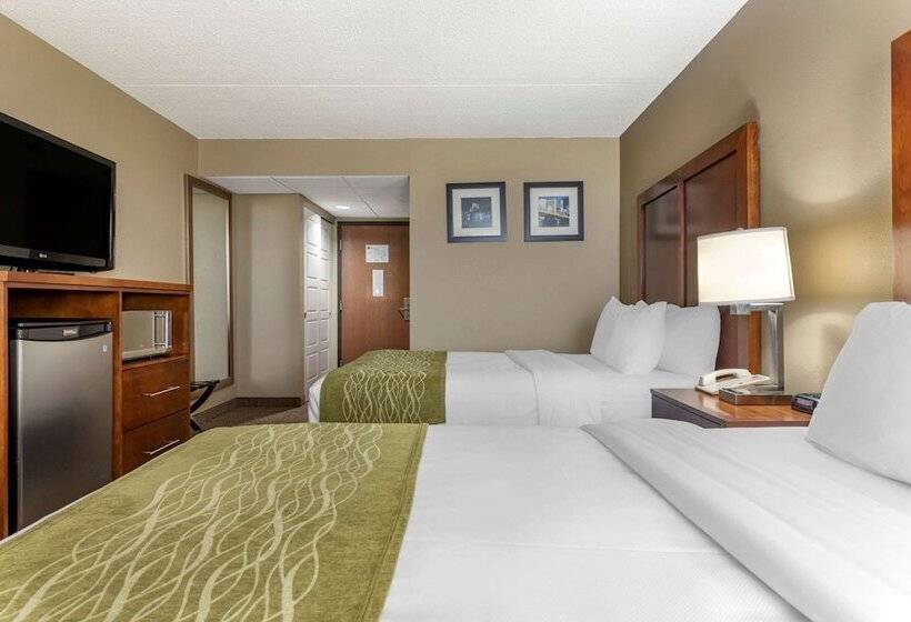 스탠다드 룸 더블 침대 2개, Comfort Inn Cranberry Twp