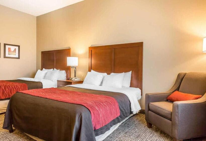 스탠다드 룸, Comfort Inn