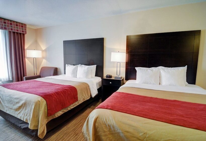 סוויטה, Comfort Inn & Suites