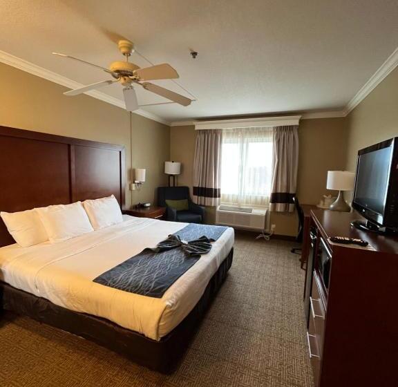Стандартный Номер Кровать Кинг, Comfort Inn & Suites Ocean Shores