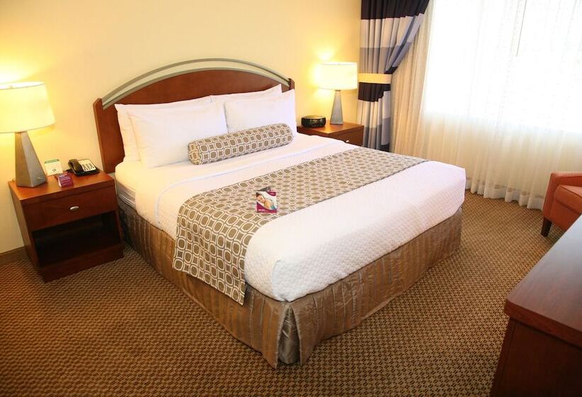 Süit, Crowne Plaza Suites Arlington, An Ihg