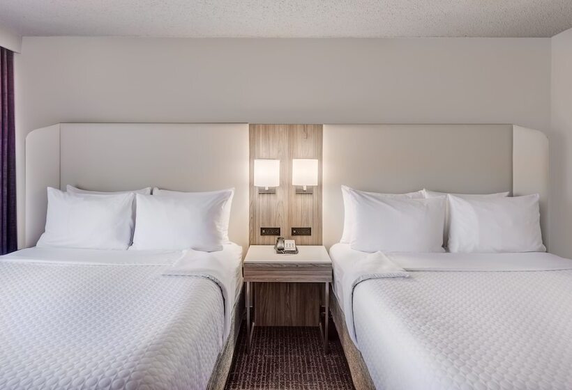 Premium Oda, Crowne Plaza Suites Arlington, An Ihg