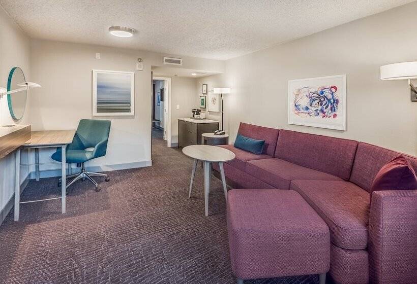 Premium Oda, Crowne Plaza Suites Arlington, An Ihg