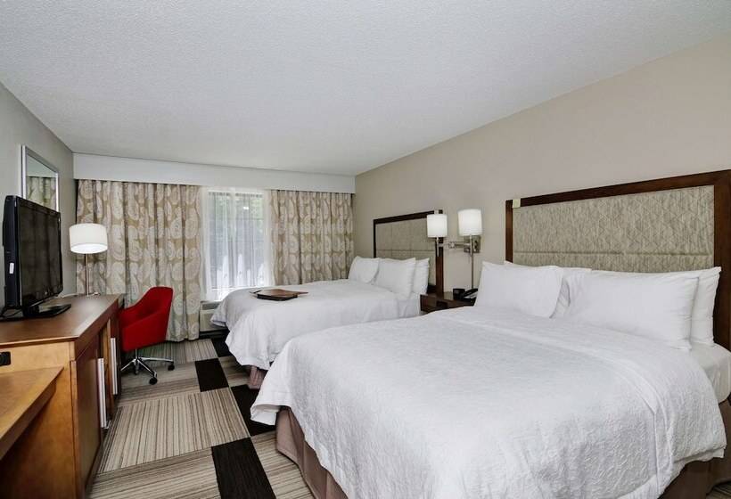Номер Стандарт 2 Двуспальные Кровати, Hampton Inn Salem, Va