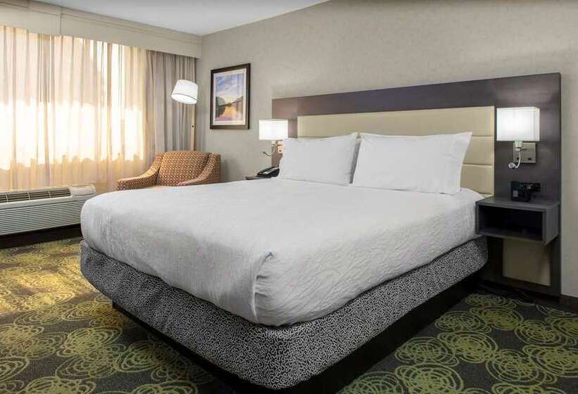 Номер Стандарт, Hilton Austin