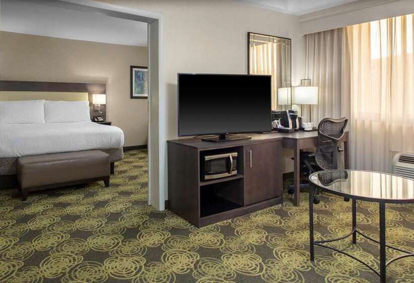 חדר סטנדרט, Hilton Austin