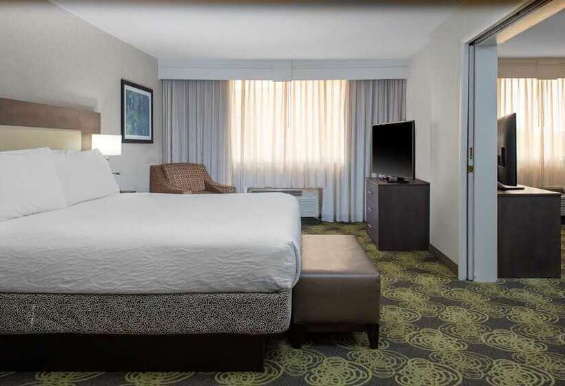 חדר סטנדרט, Hilton Austin