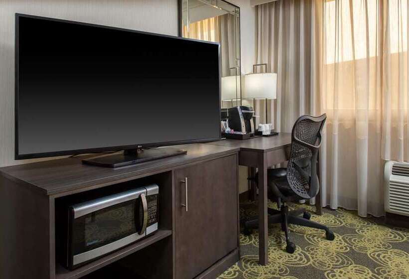Номер Стандарт, Hilton Austin