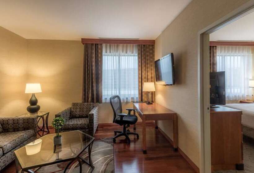 חדר סטנדרט, Hilton Austin