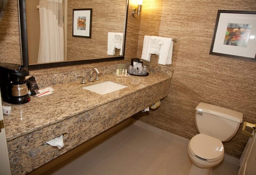 スタンダードルーム, Holiday Inn Hotel & Suites Chicago Northwest   Elgin, An Ihg
