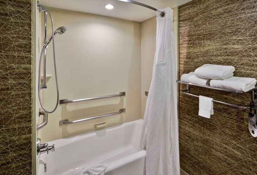 身障者適用スイートルーム, Holiday Inn Hotel & Suites Chicago Northwest   Elgin, An Ihg