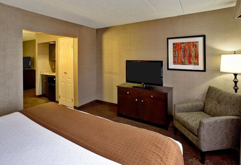 身障者適用スイートルーム, Holiday Inn Hotel & Suites Chicago Northwest   Elgin, An Ihg