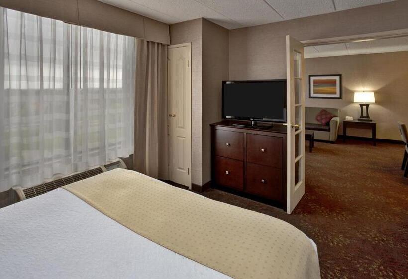 身障者適用キングサイズベッドルーム, Holiday Inn Hotel & Suites Chicago Northwest   Elgin, An Ihg