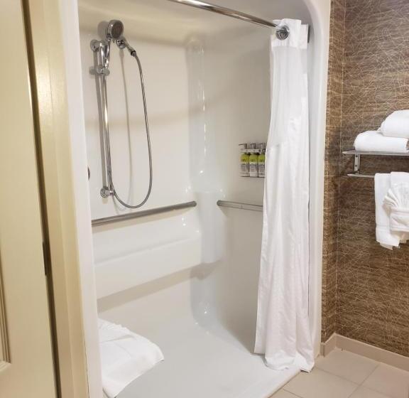 身障者適用キングサイズベッドルーム, Holiday Inn Hotel & Suites Chicago Northwest   Elgin, An Ihg