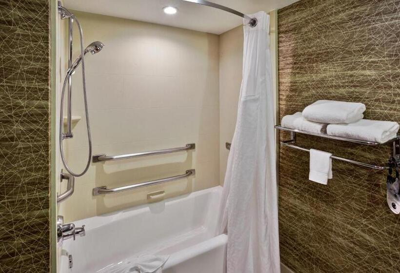 身障者適用キングサイズベッドルーム, Holiday Inn Hotel & Suites Chicago Northwest   Elgin, An Ihg