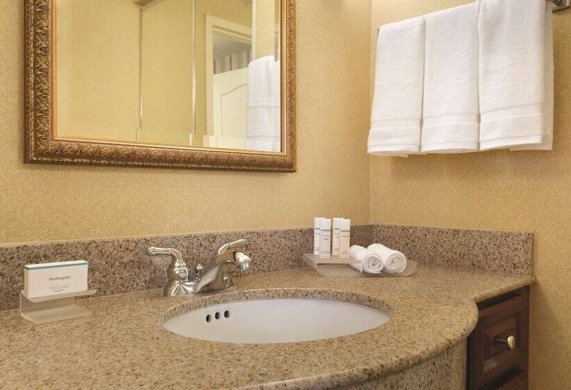Люкс Премиум, Homewood Suites By Hilton Detroit Troy