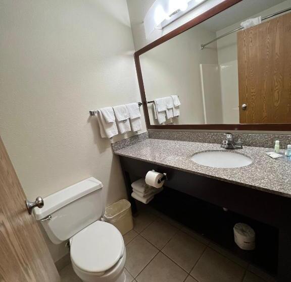 Стандартный Номер Кровать Кинг, Quality Inn Mitchell I 90
