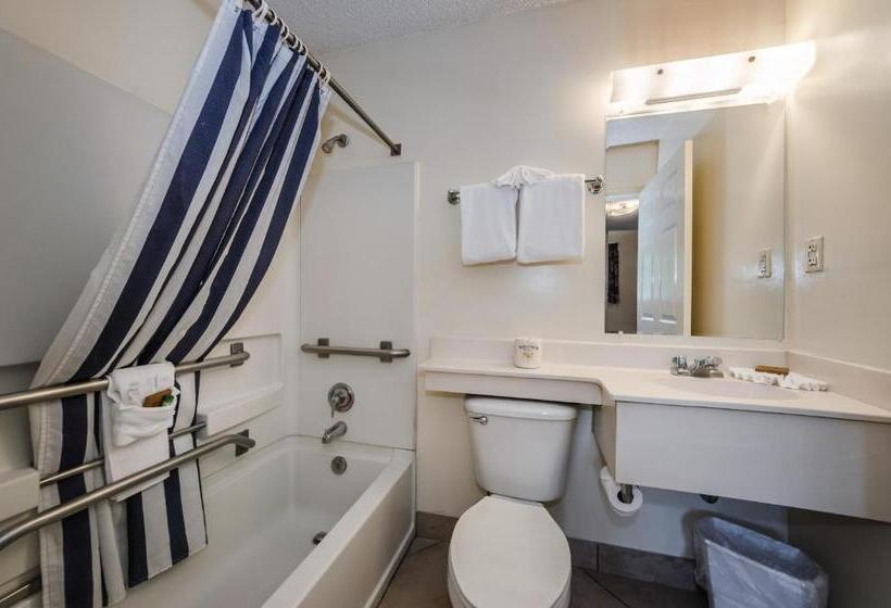 스탠다드 룸 주방구비, Tampa Bay Extended Stay