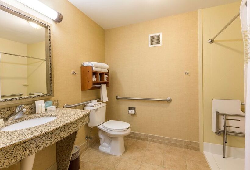 Номер Стандарт Адаптированный для Инвалидов, Hampton Inn Sidney