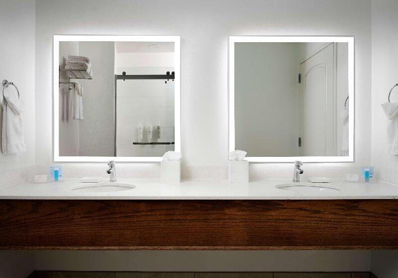 Люкс Кровать Кинг, Hampton Inn & Suites Austindowntown/convention Center
