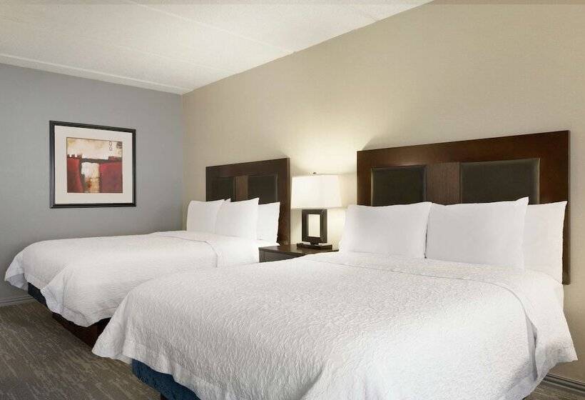 스탠다드 룸, Hampton Inn & Suites Houston/clear Lakenasa Area