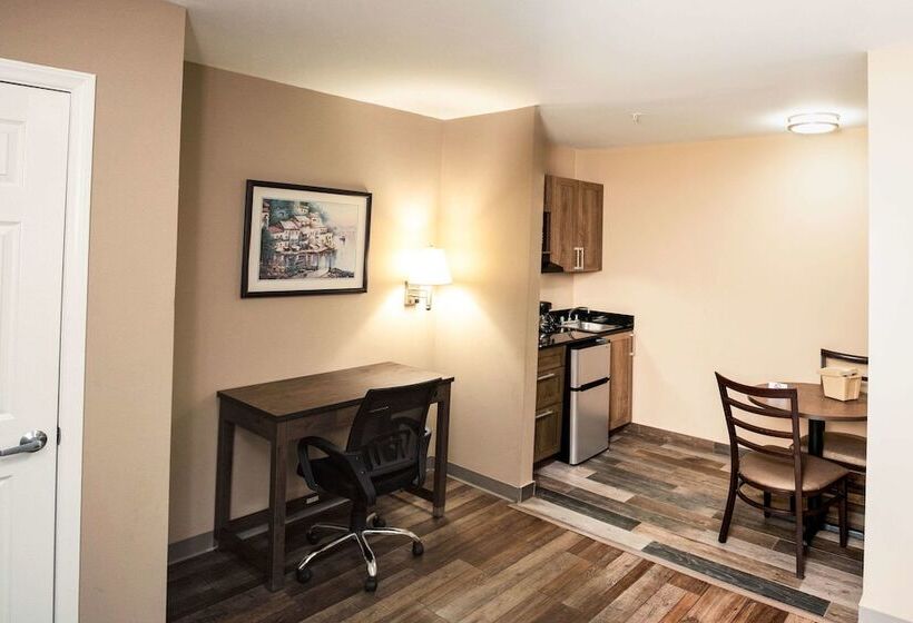 Номер Стандарт, Suburban Studios Charlotteballantyne