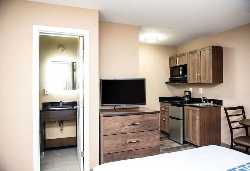 Номер Стандарт 2 Двуспальные Кровати, Suburban Studios Charlotteballantyne