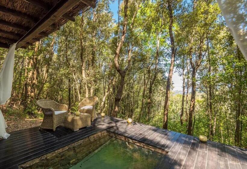 ویلای 3 خوابه با استخر, Experience Relais  Il Termine Elba