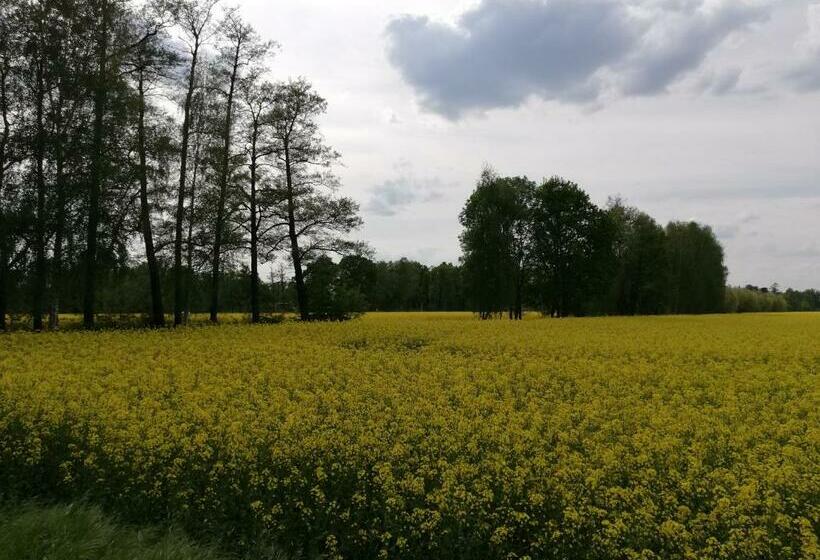 스탠다드 룸, Am Waldrand Spreewald