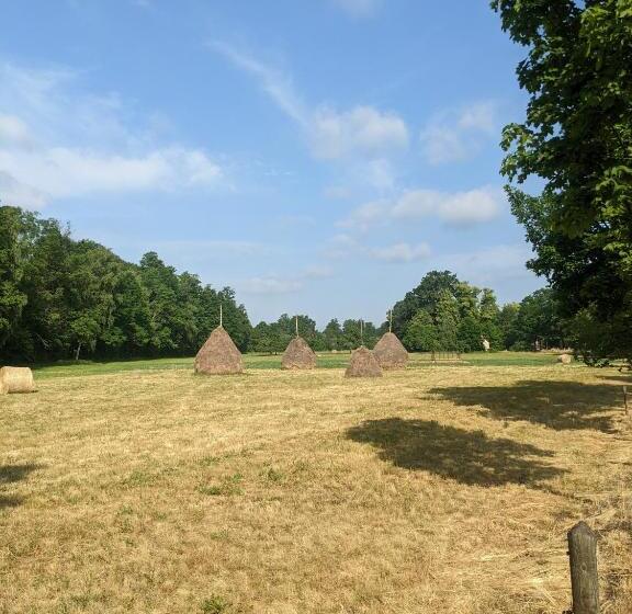 스탠다드 룸, Am Waldrand Spreewald